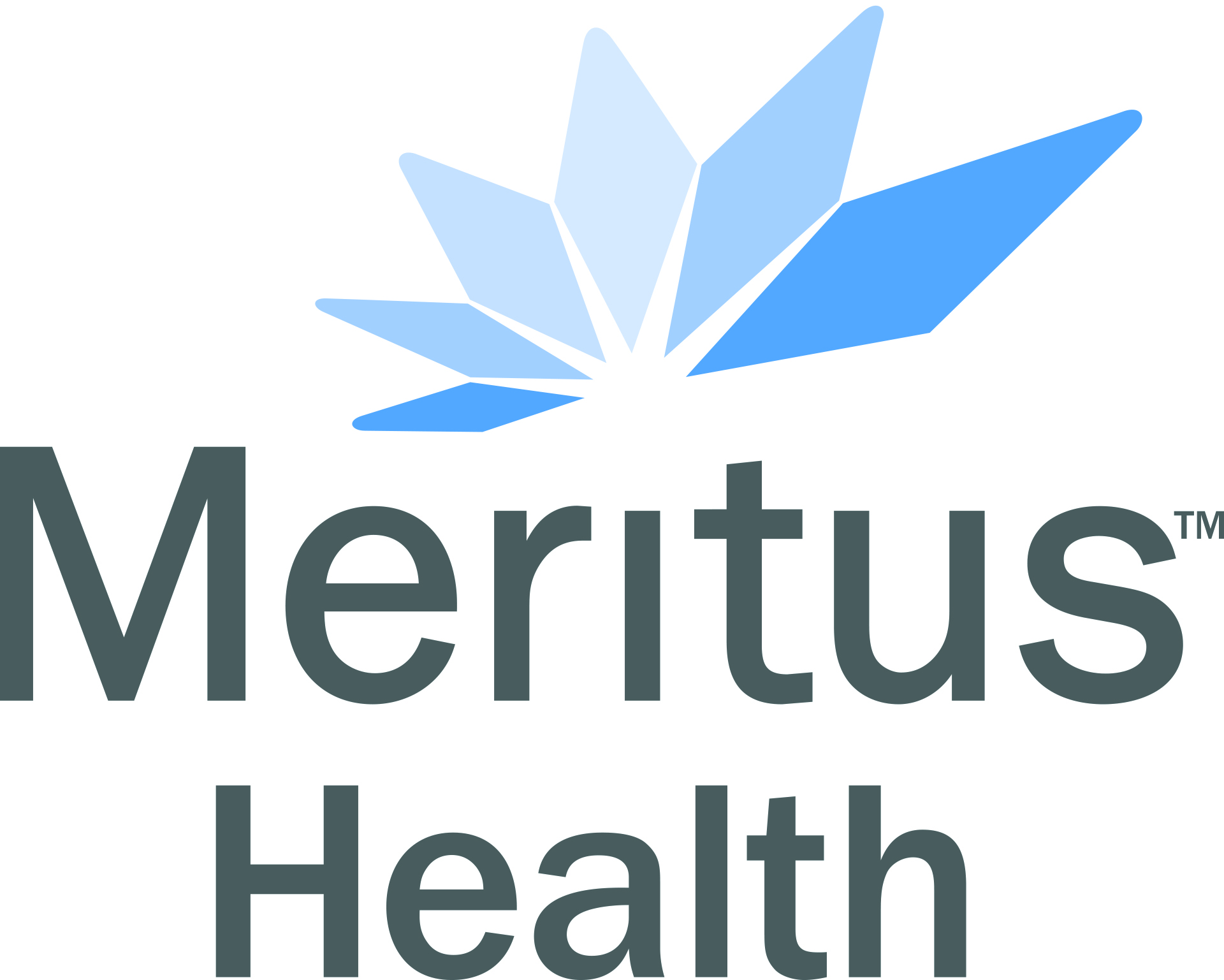 Logo for Meritus Health